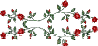 16426.gif 16426.gif