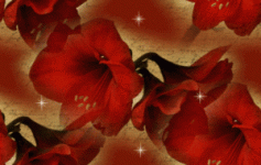 76_509826.gif