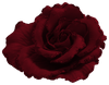 glitteredrose1.png