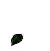 leaf1.png