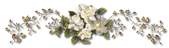 62999906_49949962_54animation50zb7.gif